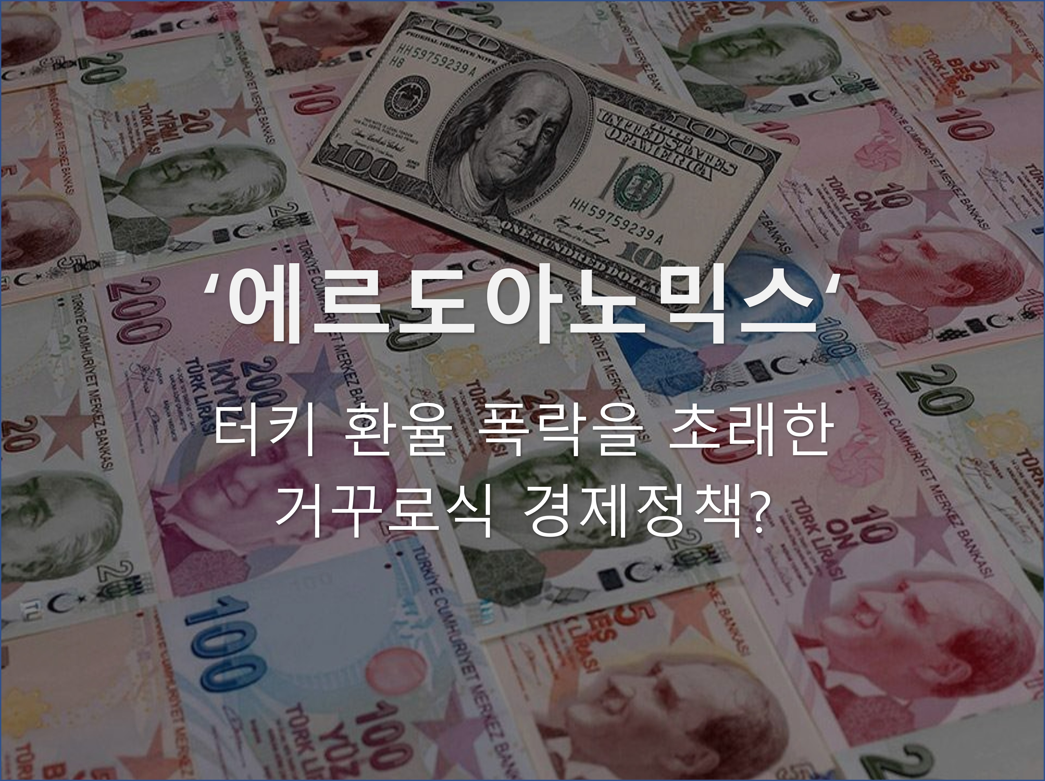  21세기 터키의 경제정책: 에르도아노믹스 (Erdoganomics)