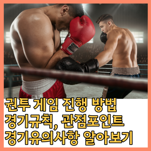  권투 (Boxing) 게임 진행 방법, 경기규칙, 관점포인트, 경기유의사항 알아보기