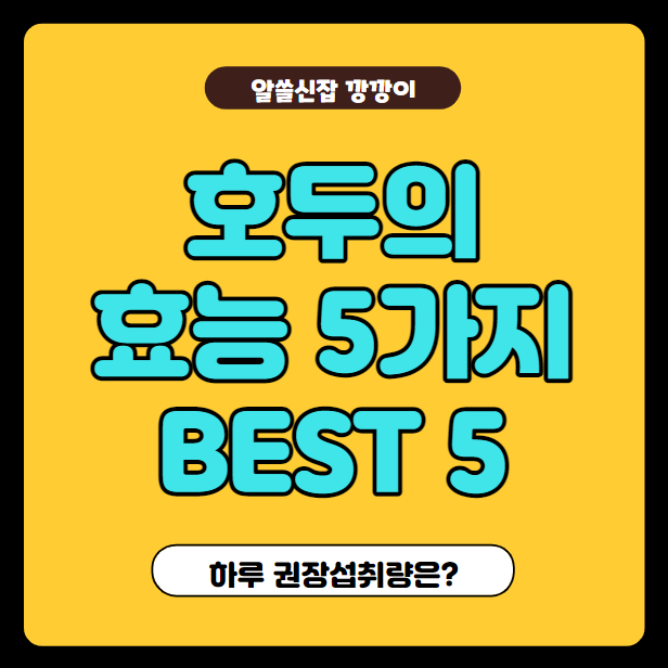  호두의 효능 5가지와 하루 섭취량 정리