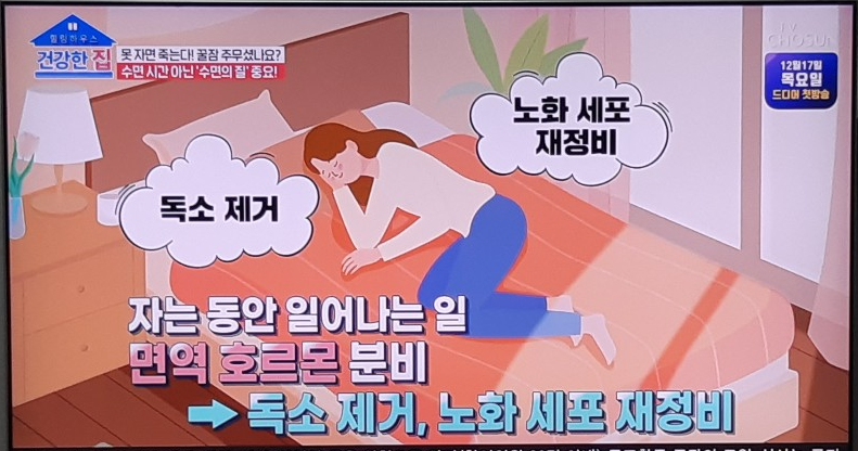  꿀잠 WITH '락티움', 수면의 질을 올리면-> 면역도 UP, 살도 빠진다??!!