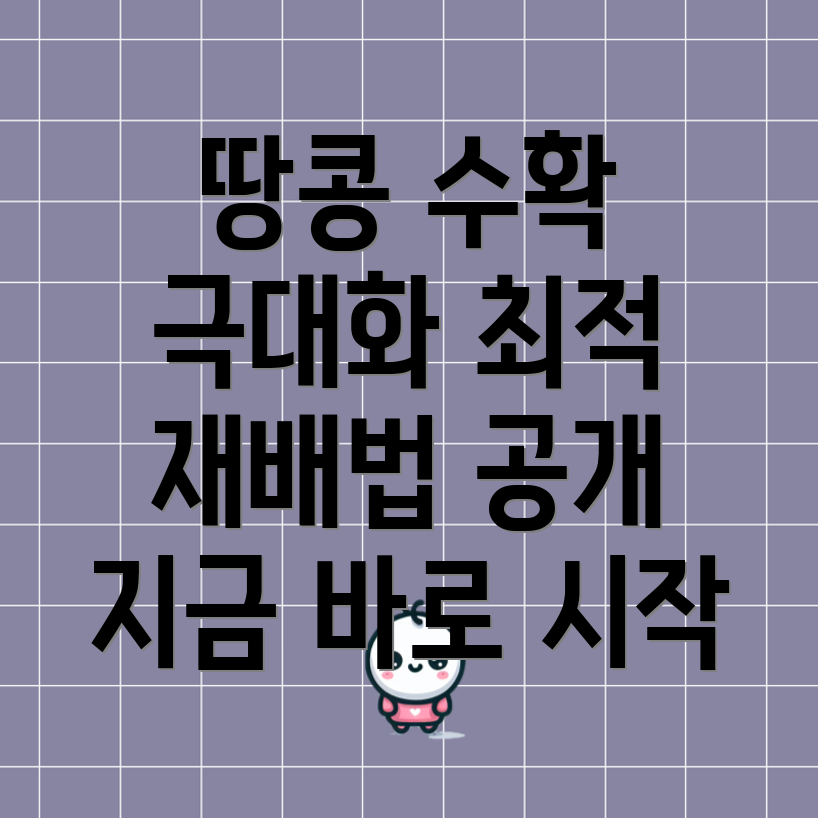 땅콩 재배