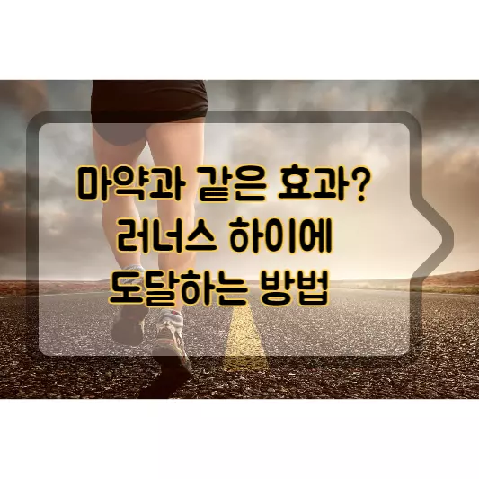 마약과-같은-효과-러너스-하이-방법