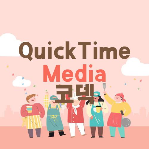 QuickTime Media 코덱