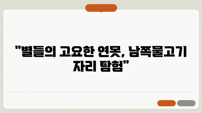 남쪽물고기 자리 하늘의 고요한 연못