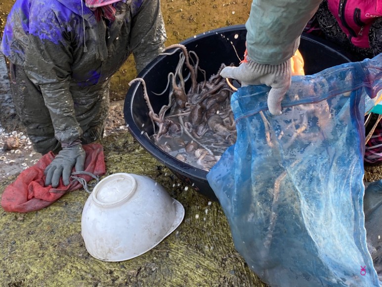 가고싶은 섬 가고싶은섬, 꼬막길과 뻘배길이 53