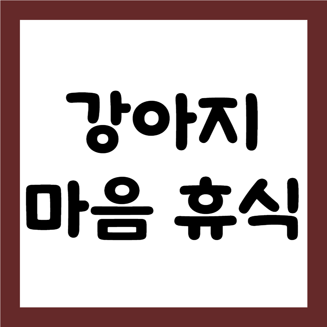 강아지 함께하는 마음 휴식 명상1