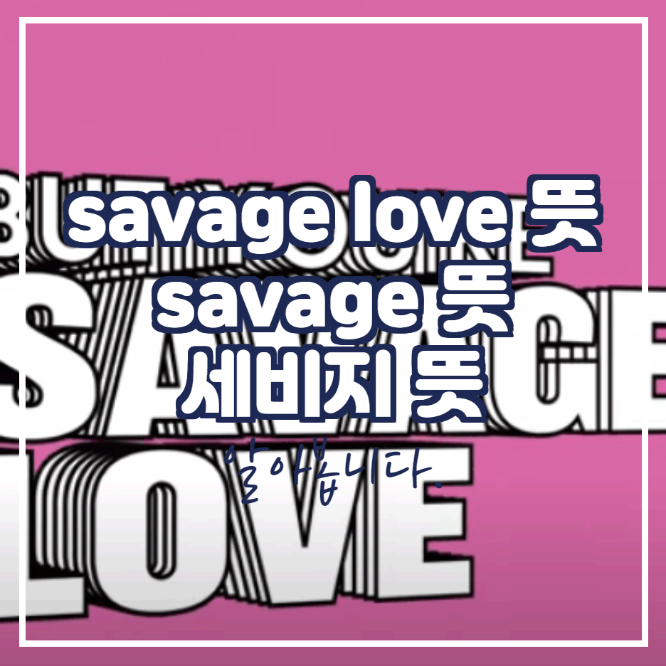  savage love 뜻 세비지 뜻