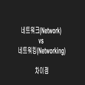 네트워크(Network)와 네트워킹(Networking) 차이점
