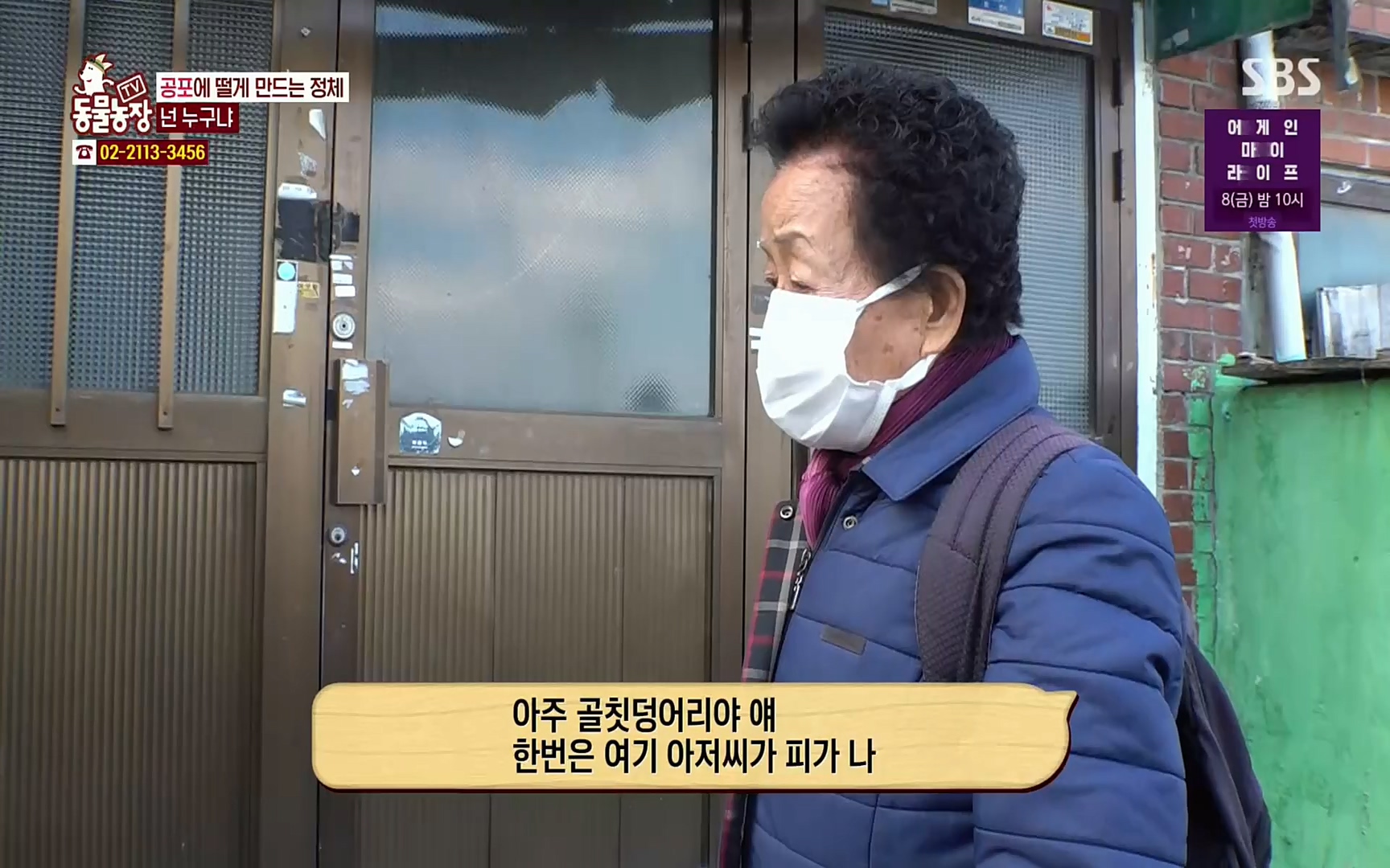 TV 동물농장.E1062.220327p.H264-F1RST.mp4_20220327_174425.556.jpg