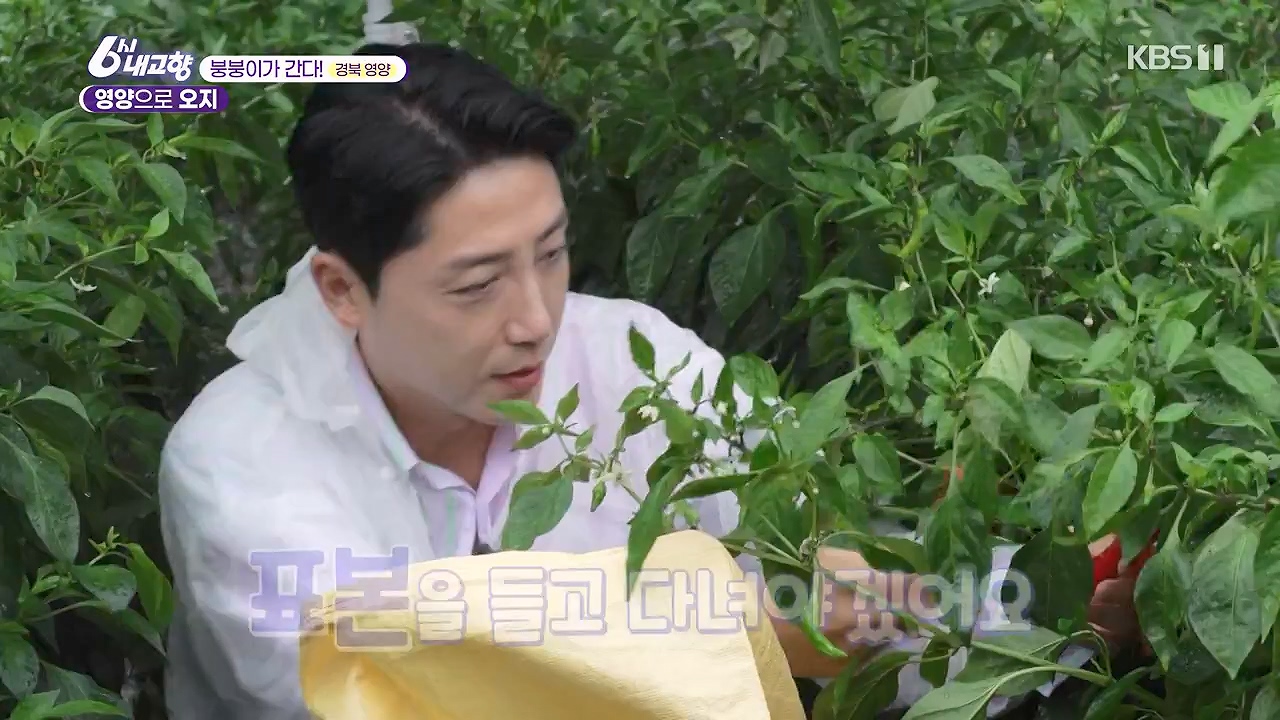 6시 내고향.E7878.230912p-NEXT.mp4_20230918_211133.725.jpg