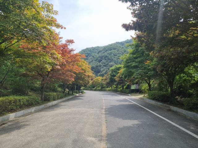 산책로