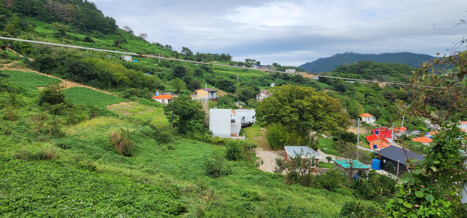 욕지도