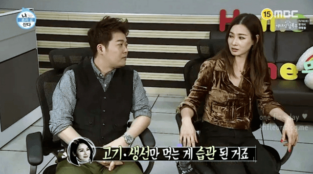  방송에나온 탑 모델들의 식단.. 한혜진, 장윤주, 이소라