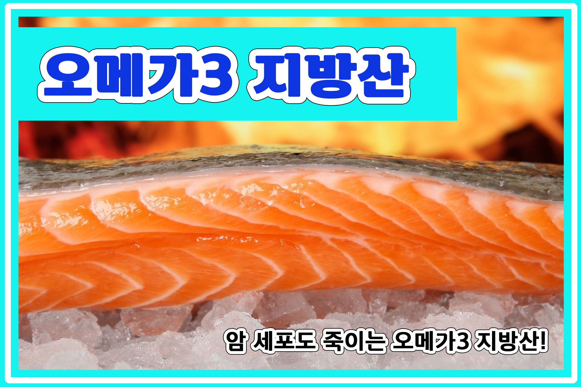  불면증 개선 및 치매 예방, 오메가3 지방산! 오메가3 지방산의 효능은? 그리고 오메가3 지방산의 부작용은?
