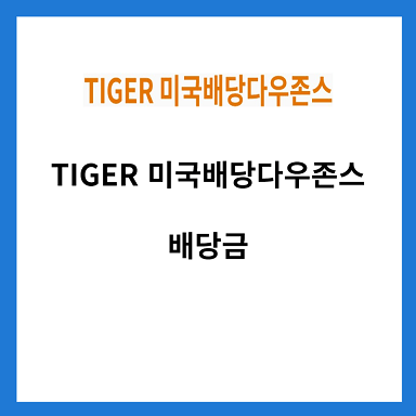 TIGER-미국배당다우존스-배당금