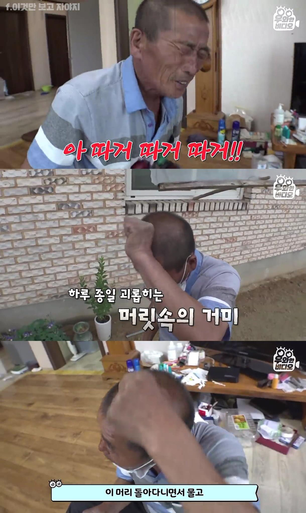  3일만에 조회수 450만 찍은 머릿속에 왕거미가 들어간 남자