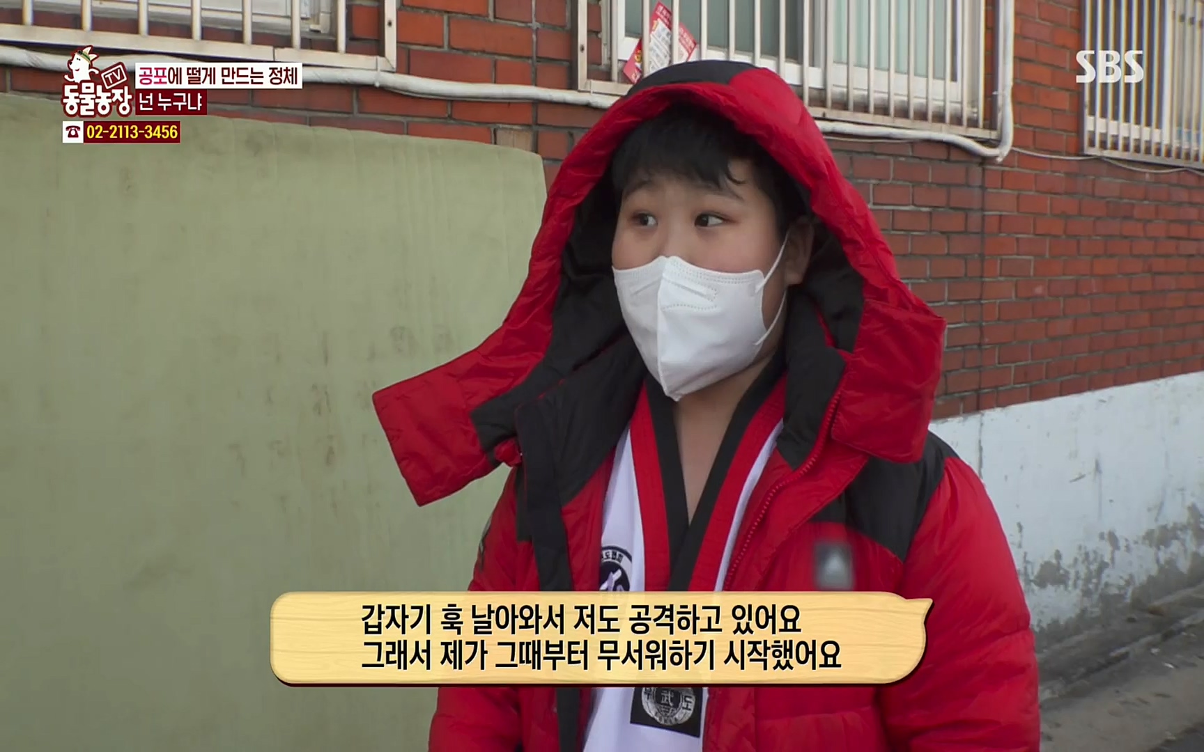 TV 동물농장.E1062.220327p.H264-F1RST.mp4_20220327_174427.999.jpg