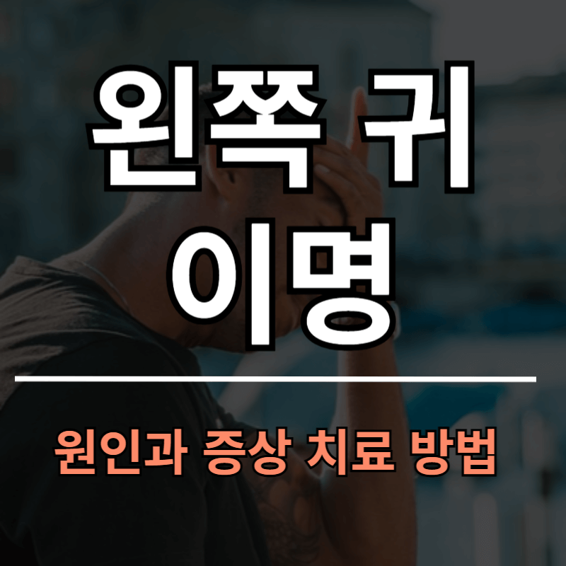 왼쪽 귀 이명 원인과 진단 치료방법