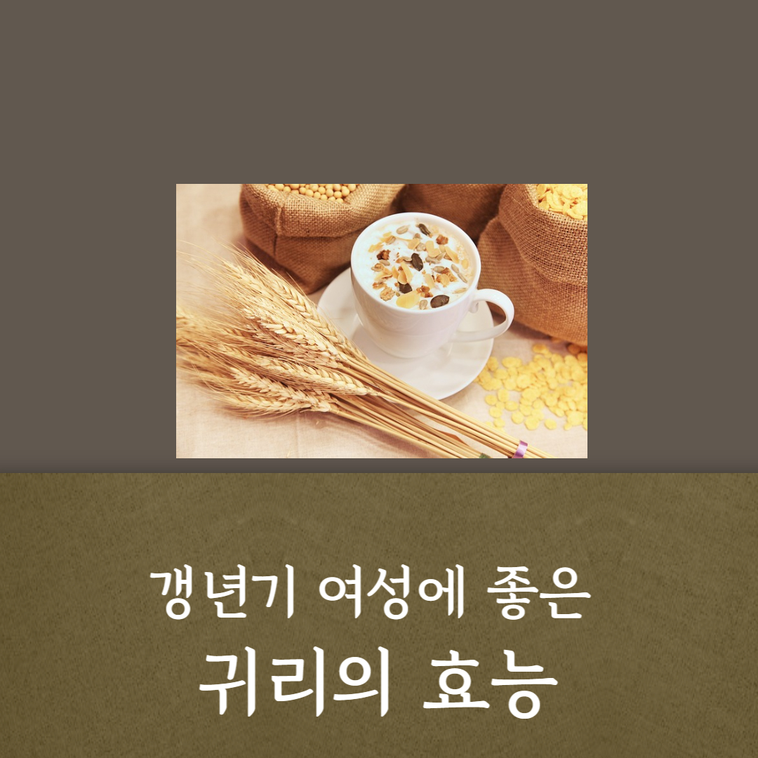  갱년기 여성 건강에 효과적 식품 귀리 효능과 먹는 법
