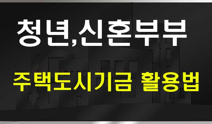  청년 신혼부부 주택도시기금 전세자금대출 디딤돌대출 활용법
