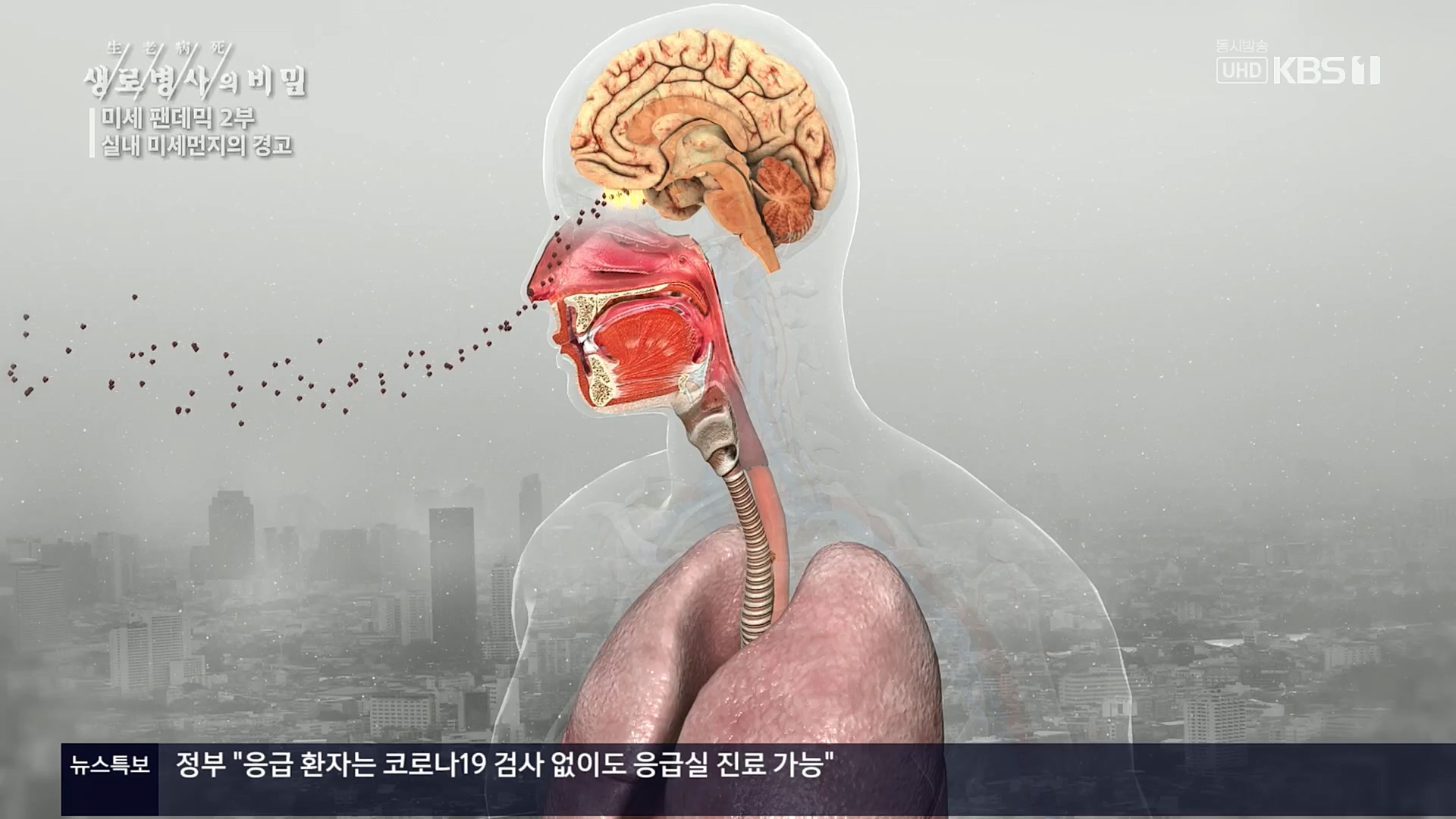 생로병사의 비밀.E840.221019p.H264-F1RST.mp4_20221020_180929.322.jpg