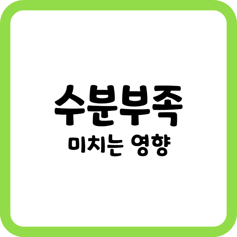 수분 부족이 미치는 영향