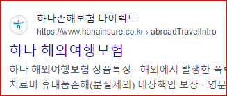 출처; 하나 해외여행자보험