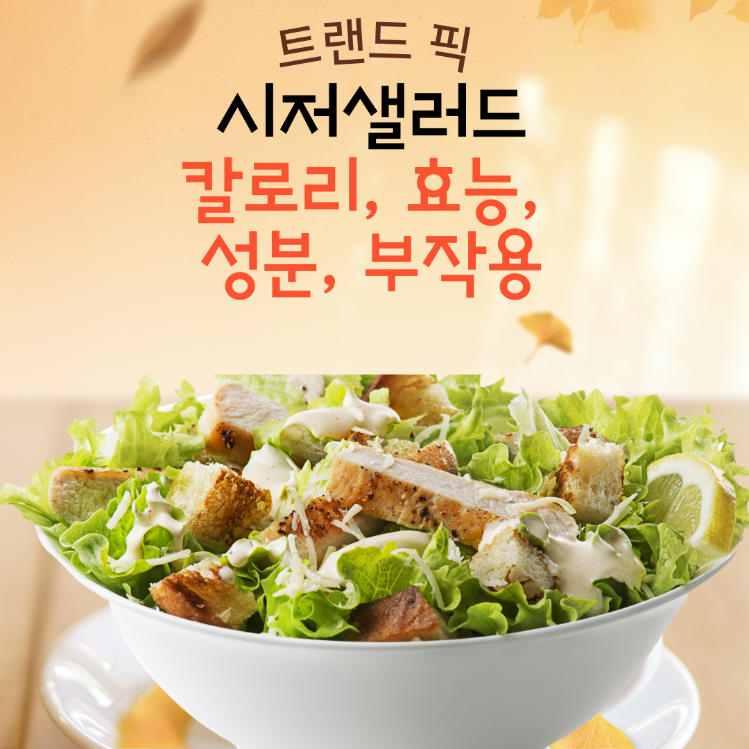시저샐러드 칼로리, 효능, 성분, 부작용 – 고소한 샐러드의 영양과 주의사항