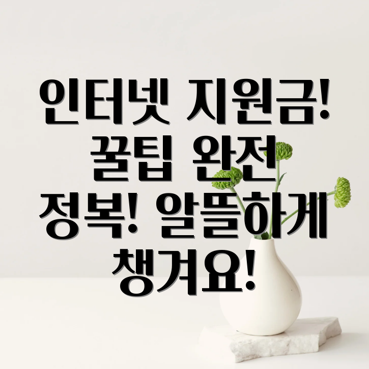 인터넷 지원금