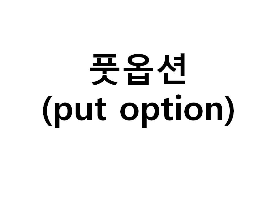  #풋옵션(put option)