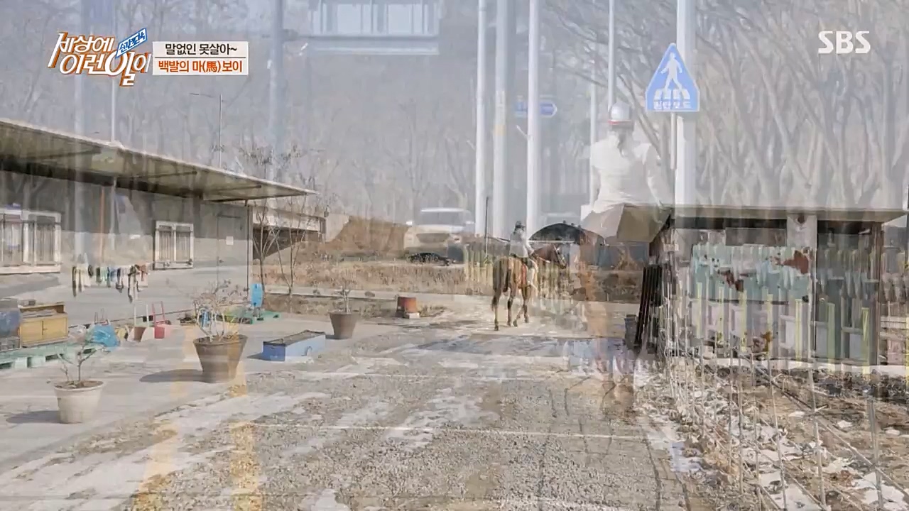 순간포착 세상에 이런일이.E1216.230208p-NEXT.mp4_20230208_194159.474.jpg