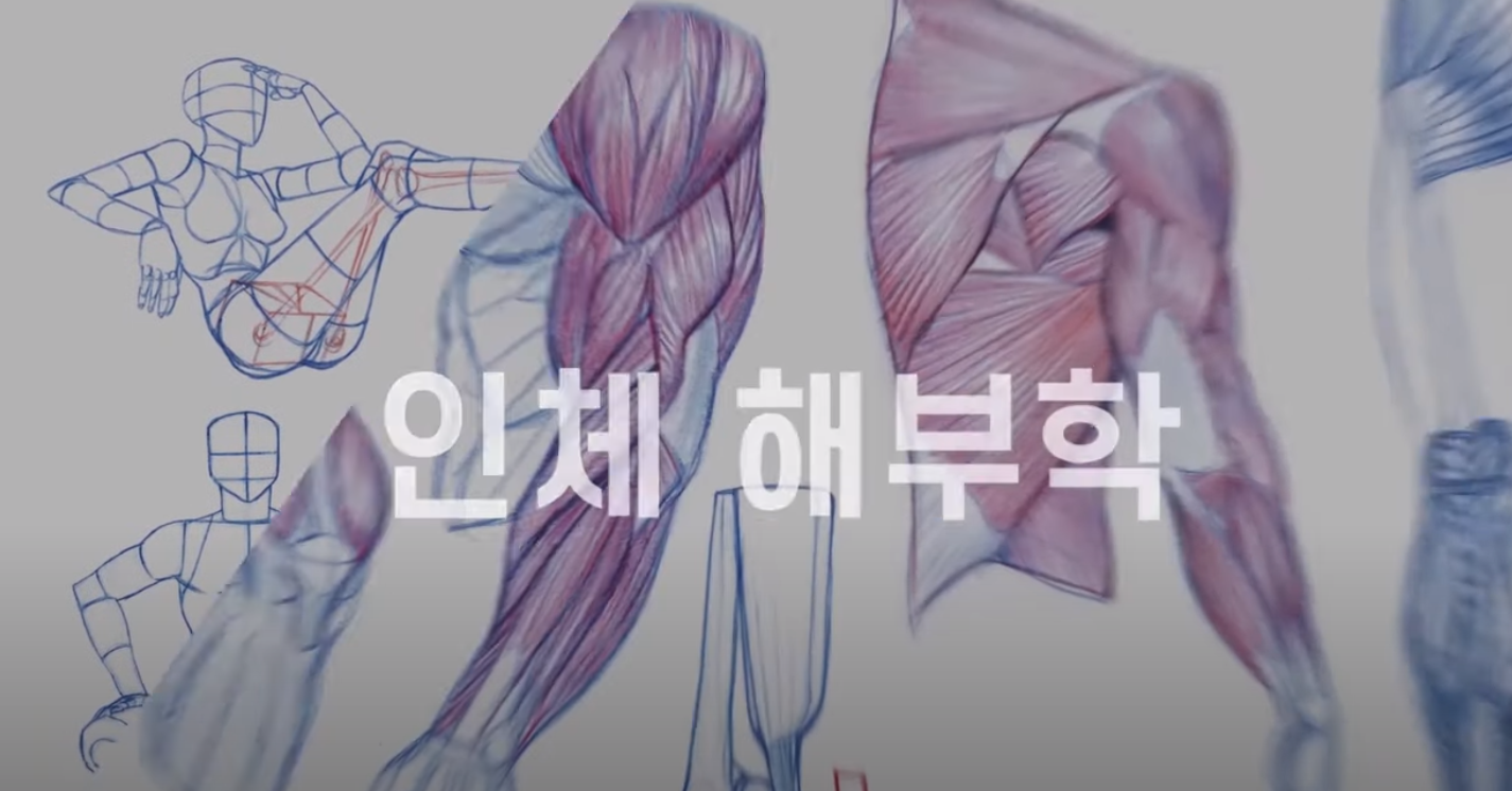  【김락희의 인체 드로잉】(요약ver.) 10분만에 공부하는 몸통박스 그리기!