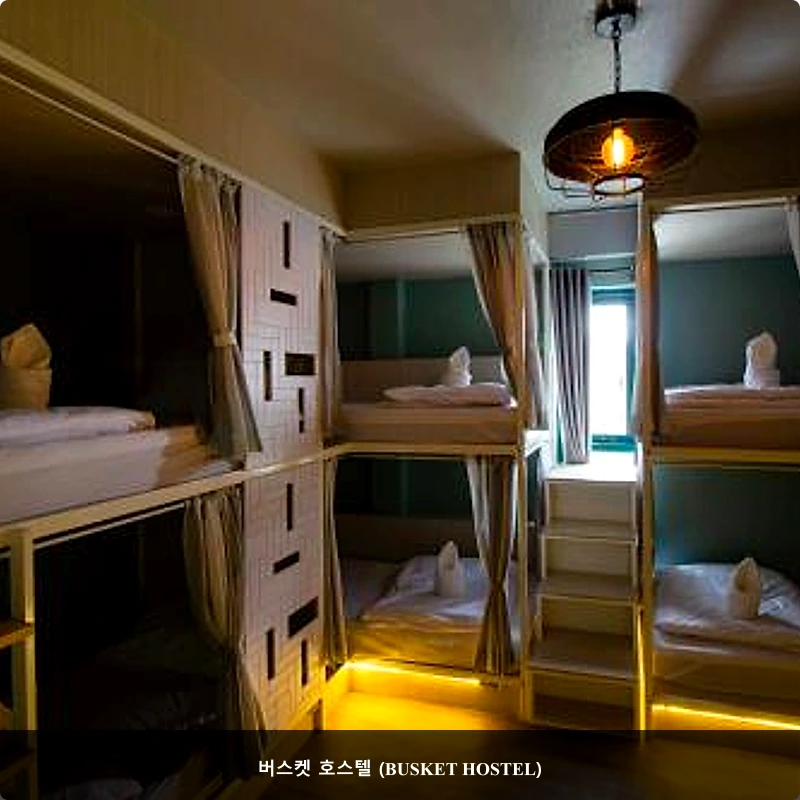 버스켓 호스텔 (BUSKET HOSTEL)_2