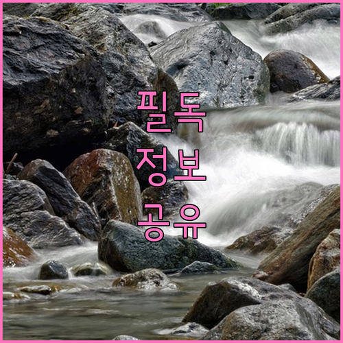 서점 창업 완벽 가이드: 준비부터 운