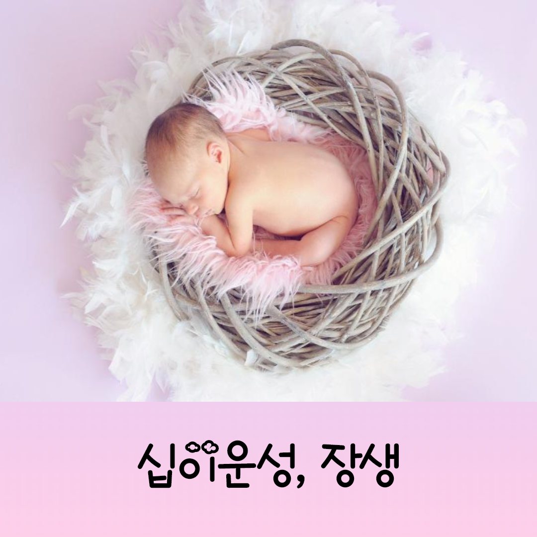  재물을 계속 생하는 기운 - 십이운성 장생