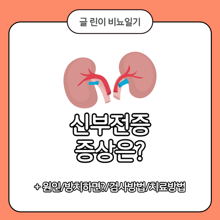  신부전증 증상은?