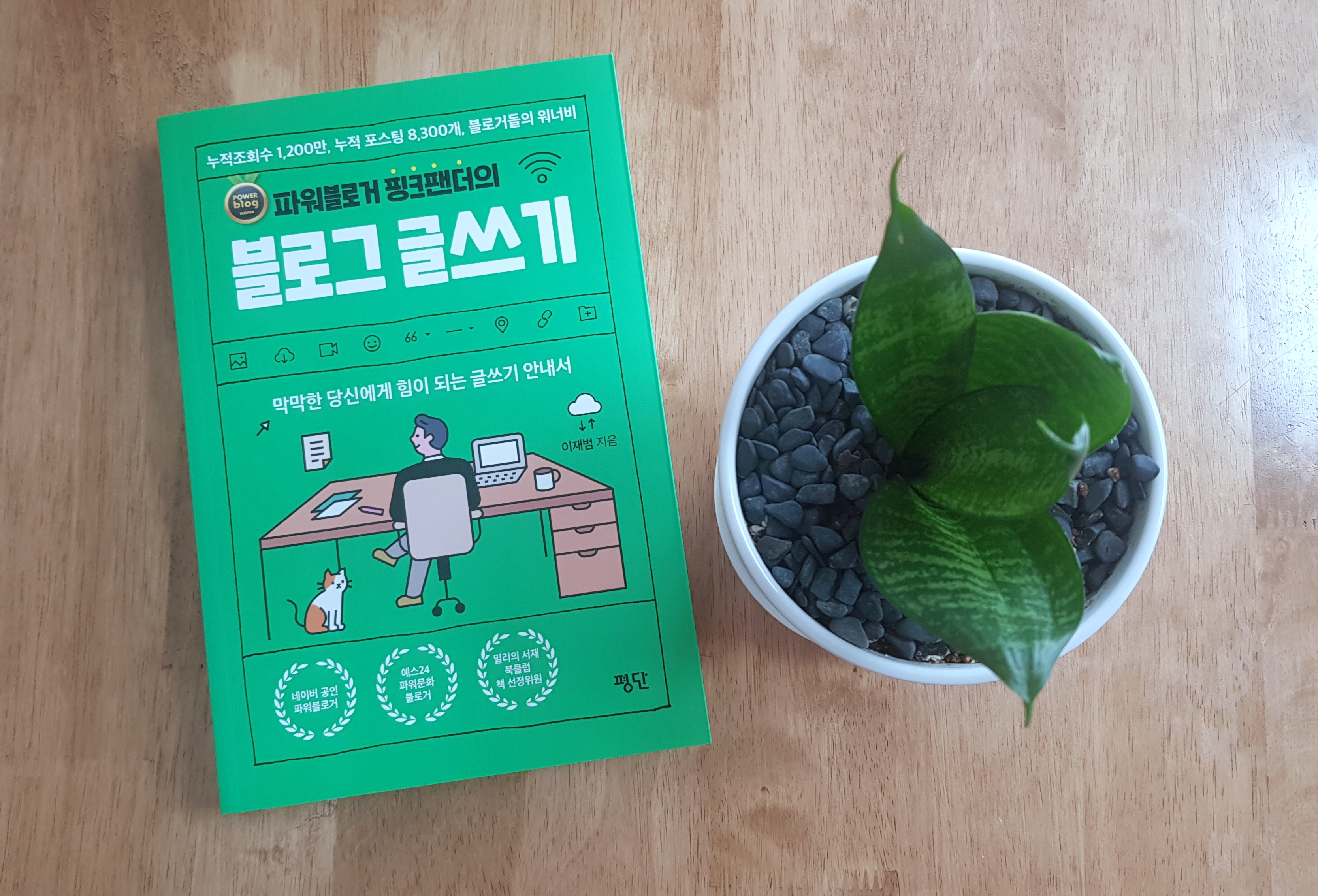  나도 글 잘 쓰고 싶다! : 파워블로거 핑크팬더의 블로그 글쓰기