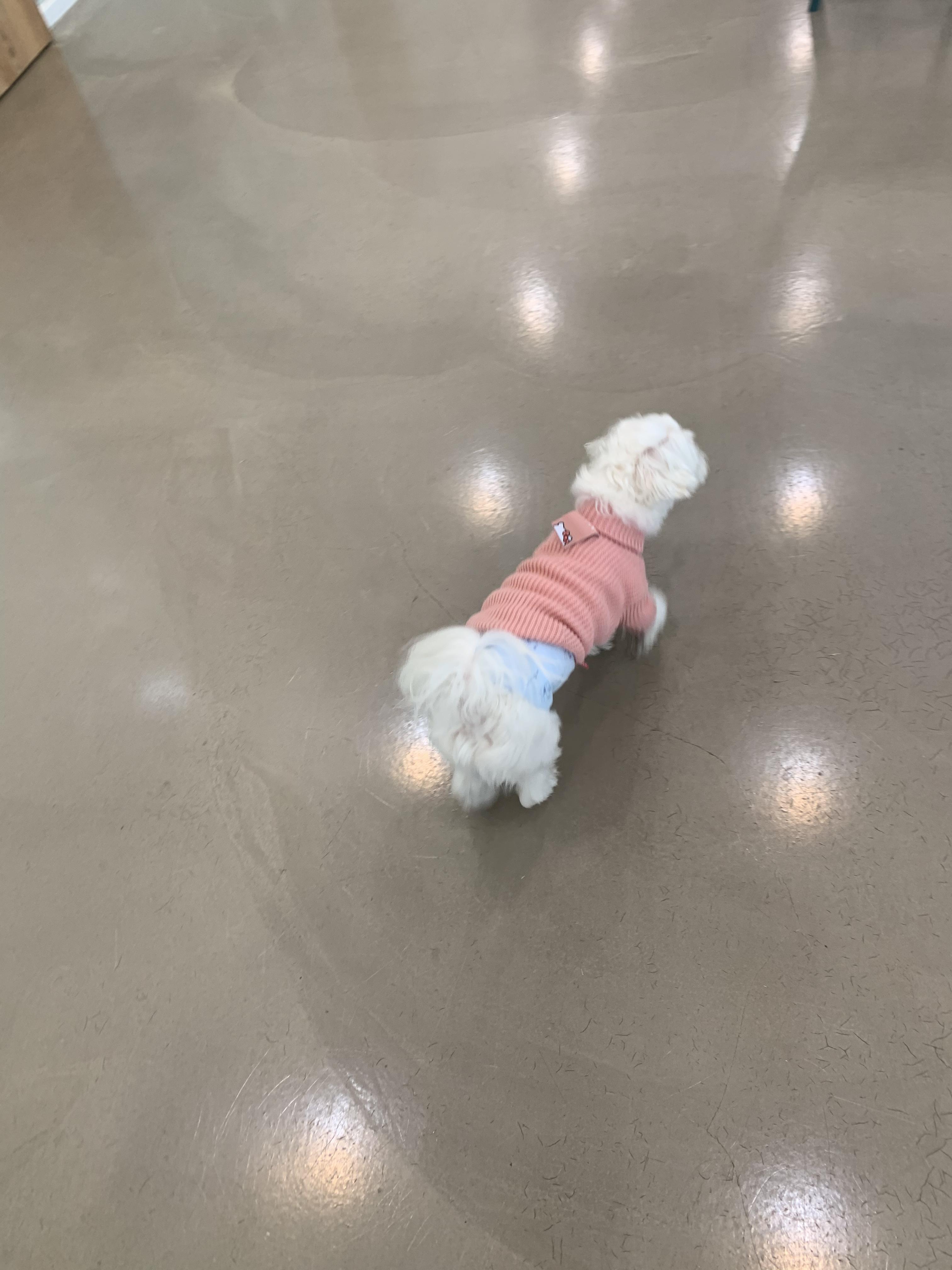 수다다카페 이미지