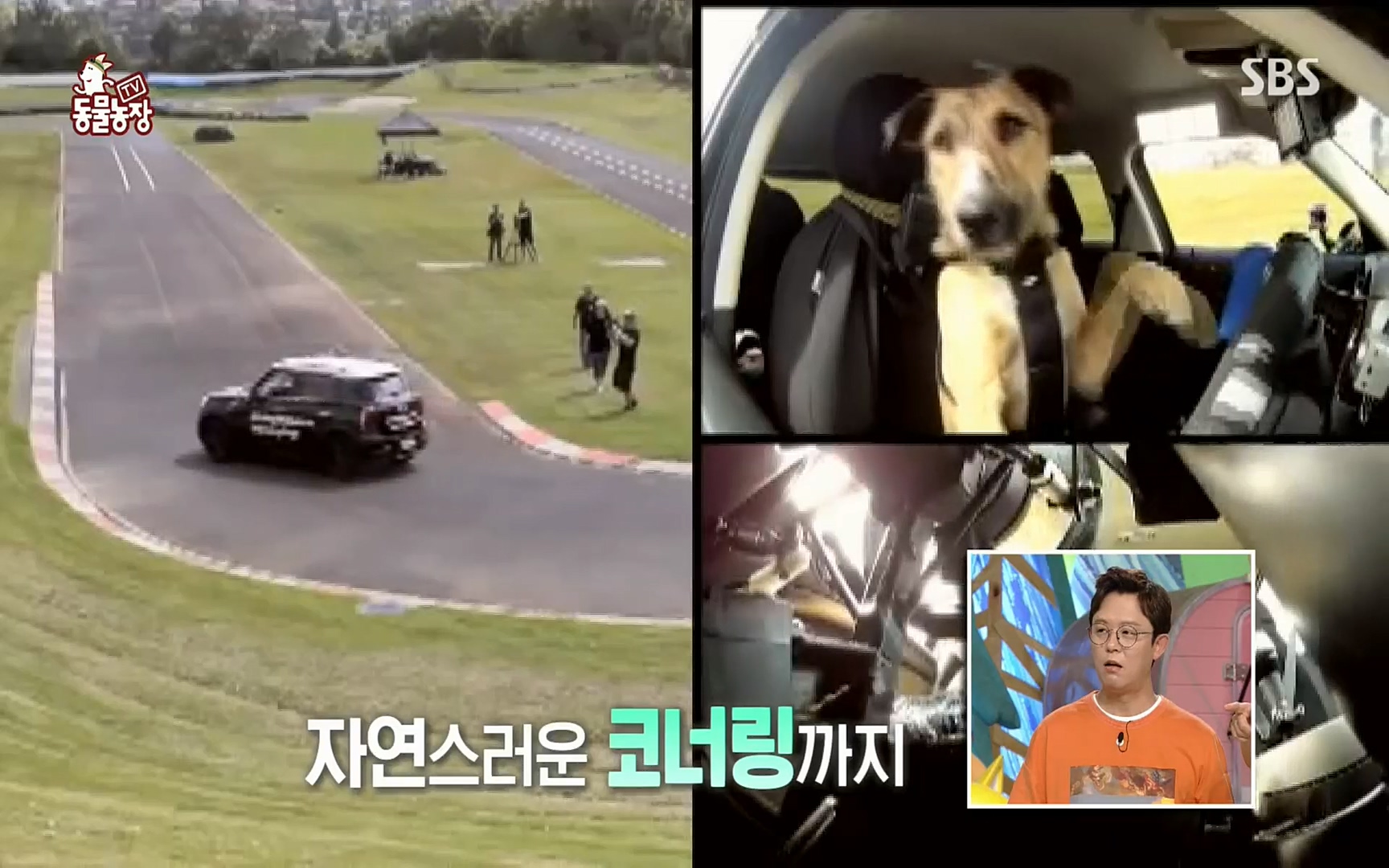 TV 동물농장.E1074.220619p.H264-F1RST.mp4_20220619_175829.645.jpg
