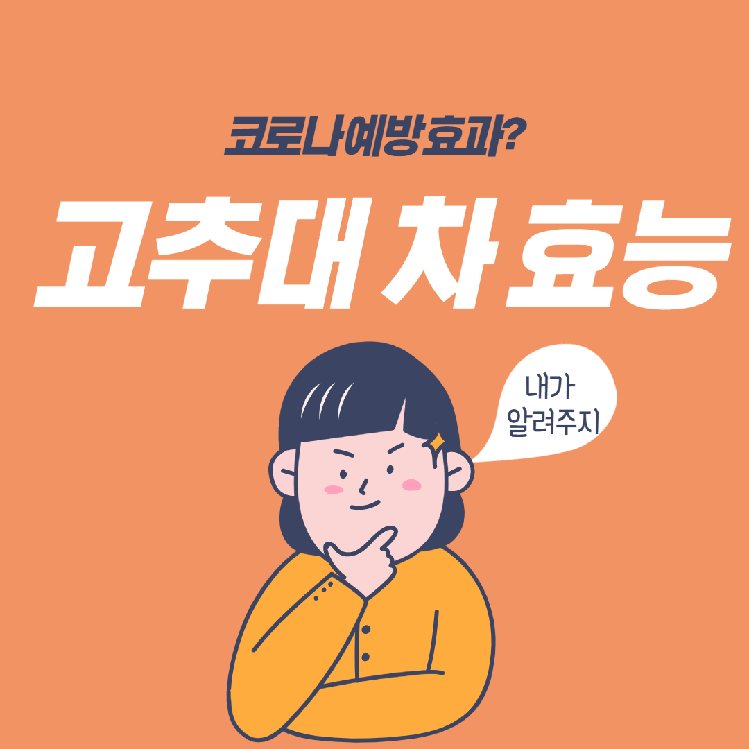  고추대 차 효능 코로나 치료?