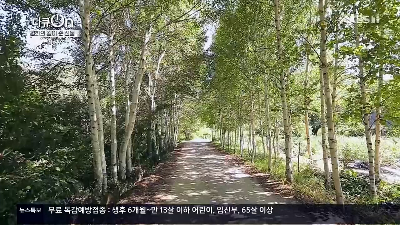 다큐 On.E172.221119p.H264

-F1RST.mp4_20221122_201823.759.jpg