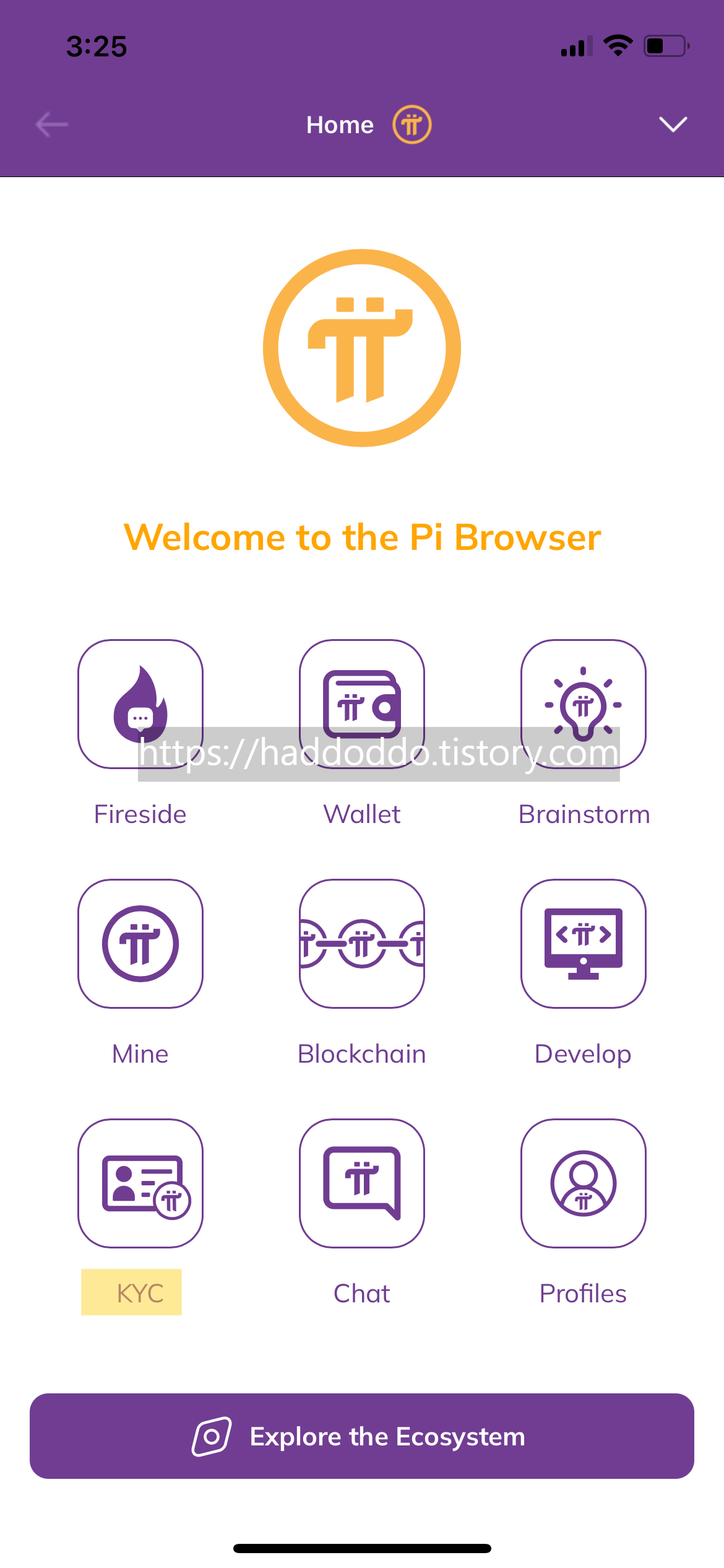  PI Browser 브라우저 접속