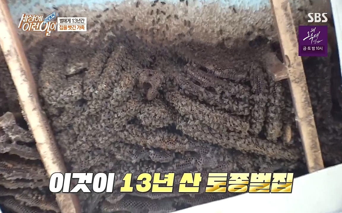 순간포착 세상에 이런일이.E1183.220608p-NEXT.mp4_20220608_200306.104.jpg