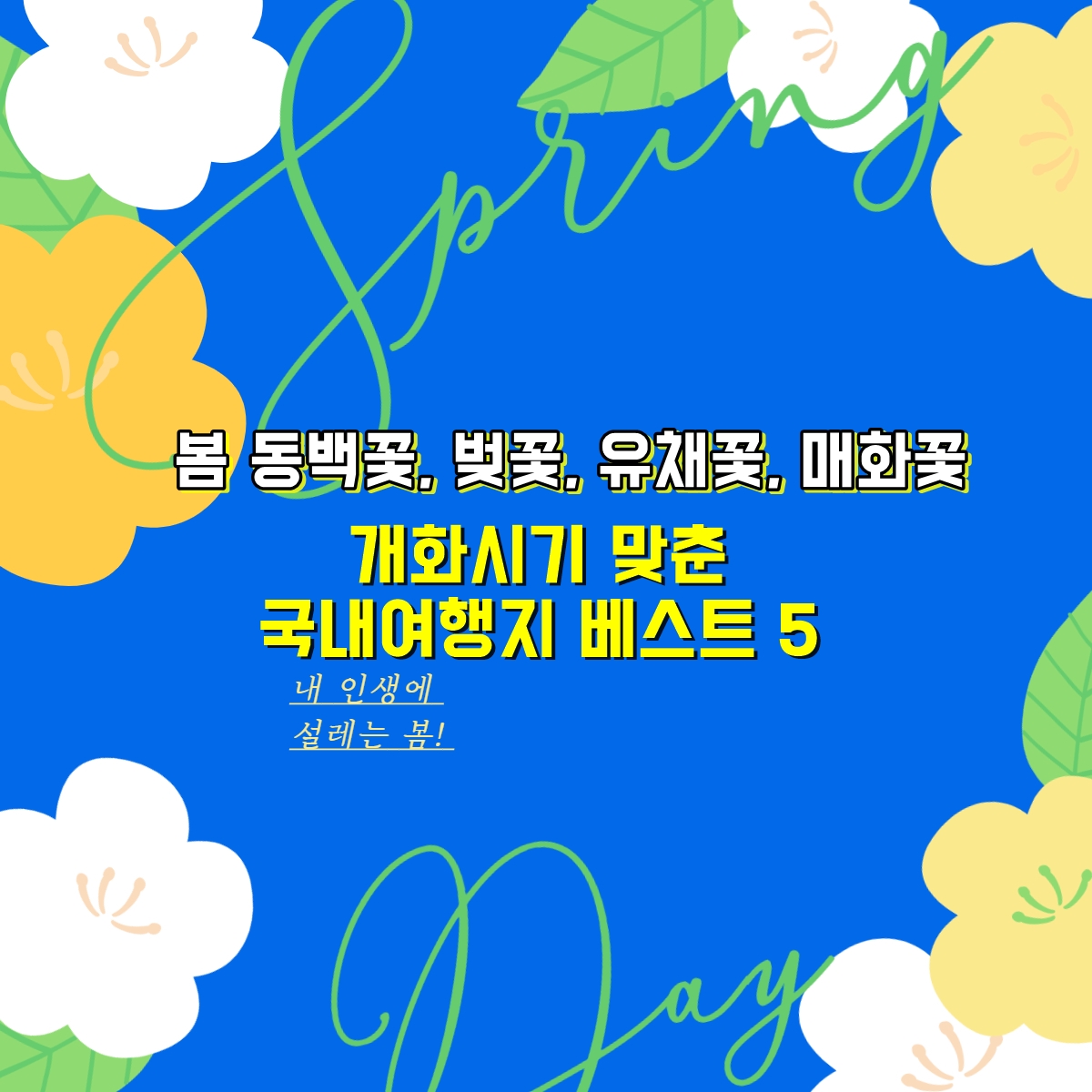 봄 동백꽃, 벚꽃, 유채꽃, 1