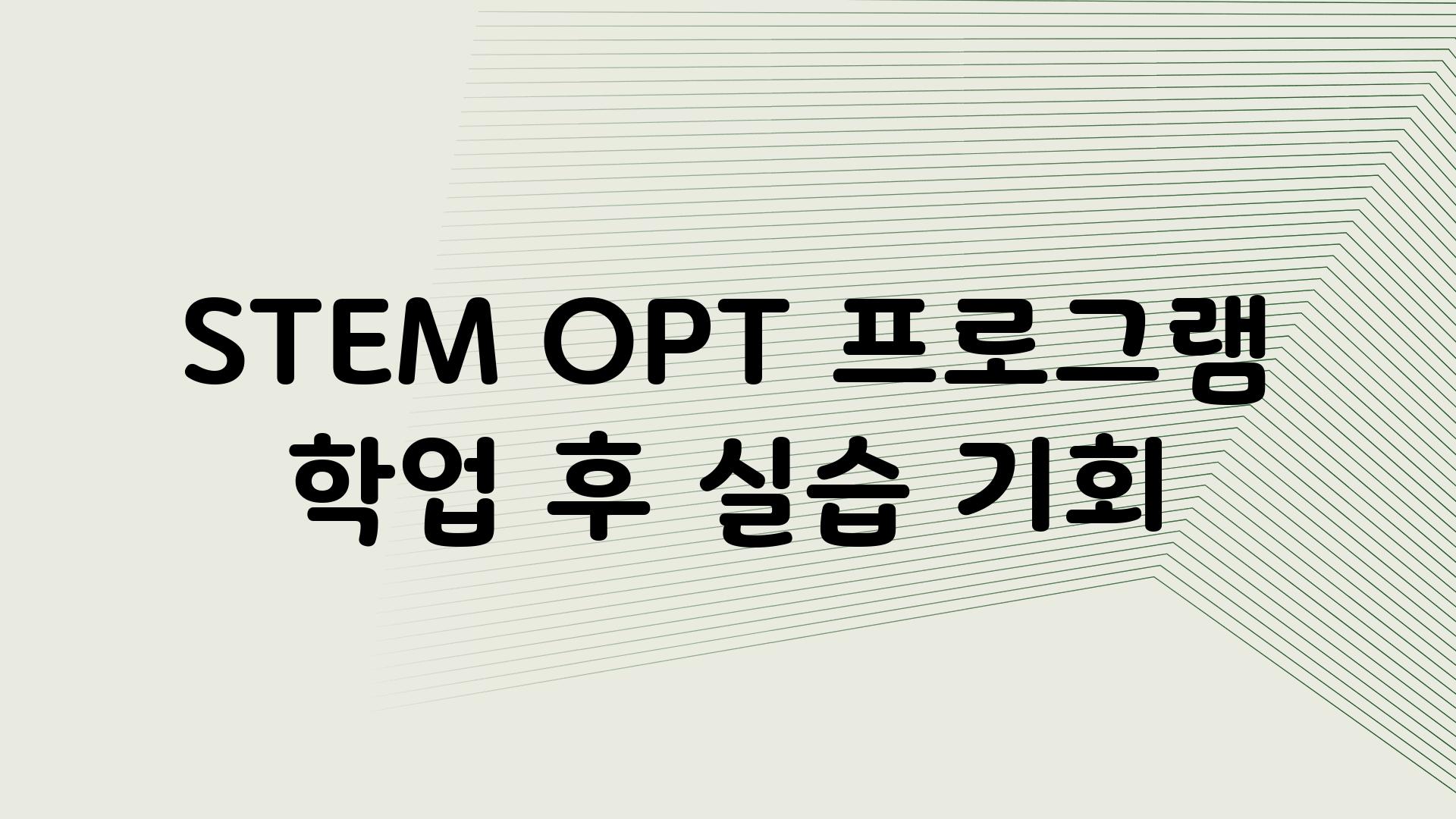 STEM OPT 프로그램 학업 후 실습 기회