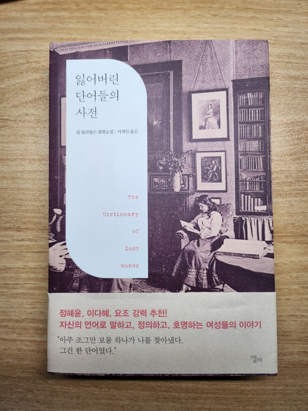  잃어버린 단어들의 사전 (The Dictionary of Lost Words)_ 핍 윌리엄스