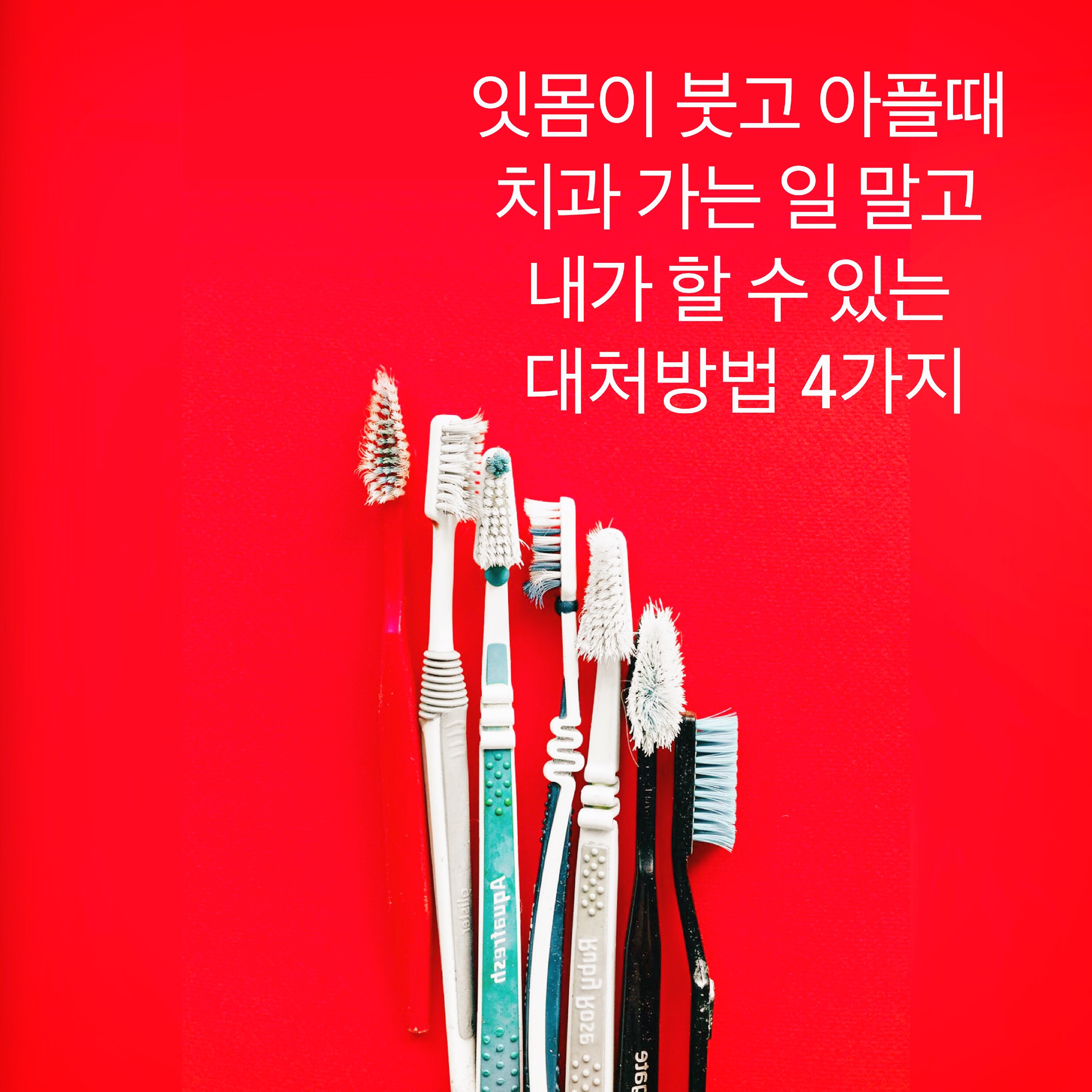 잇몸이 붓고 아플때 치과 가는 일 말고 내가 할 수 있는 대처방법 4가지