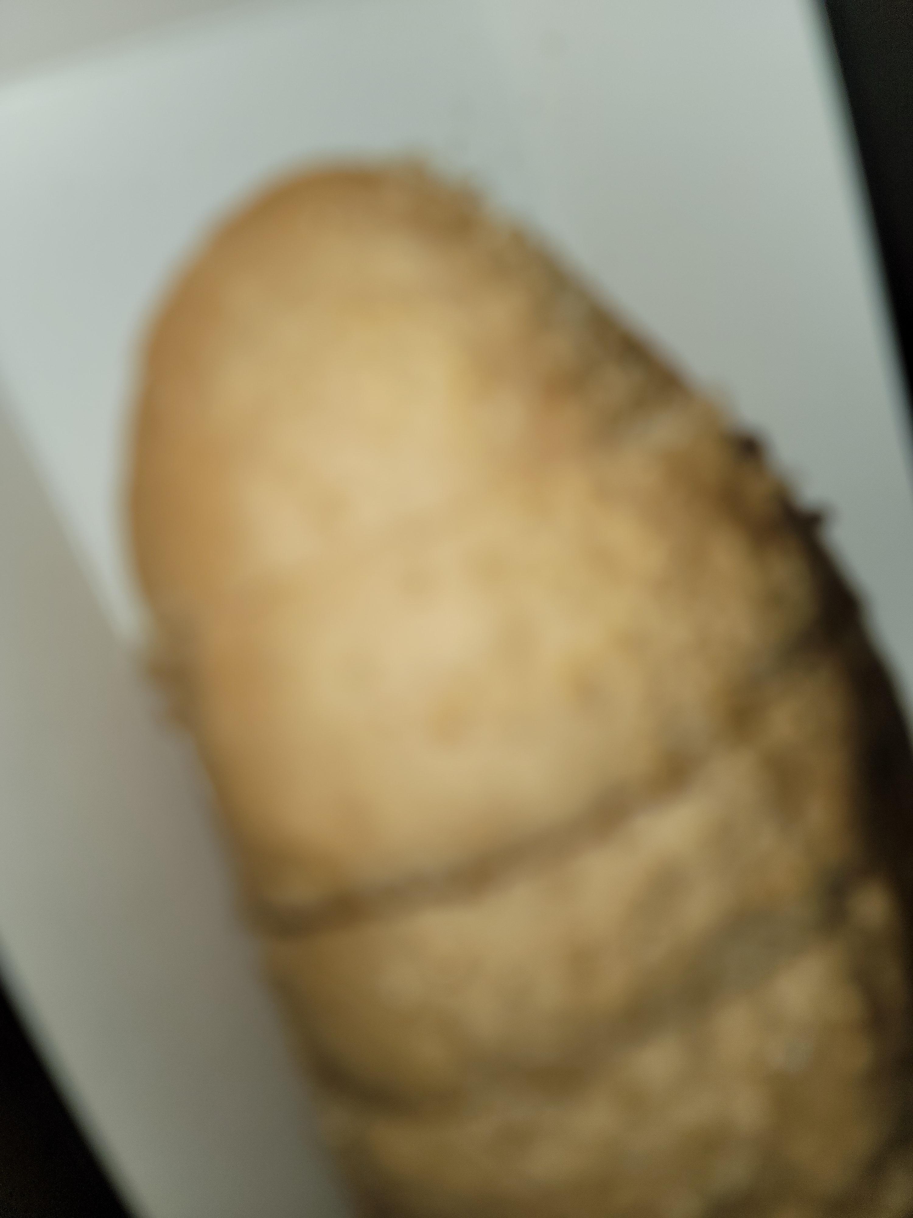  공부하다 죽기를