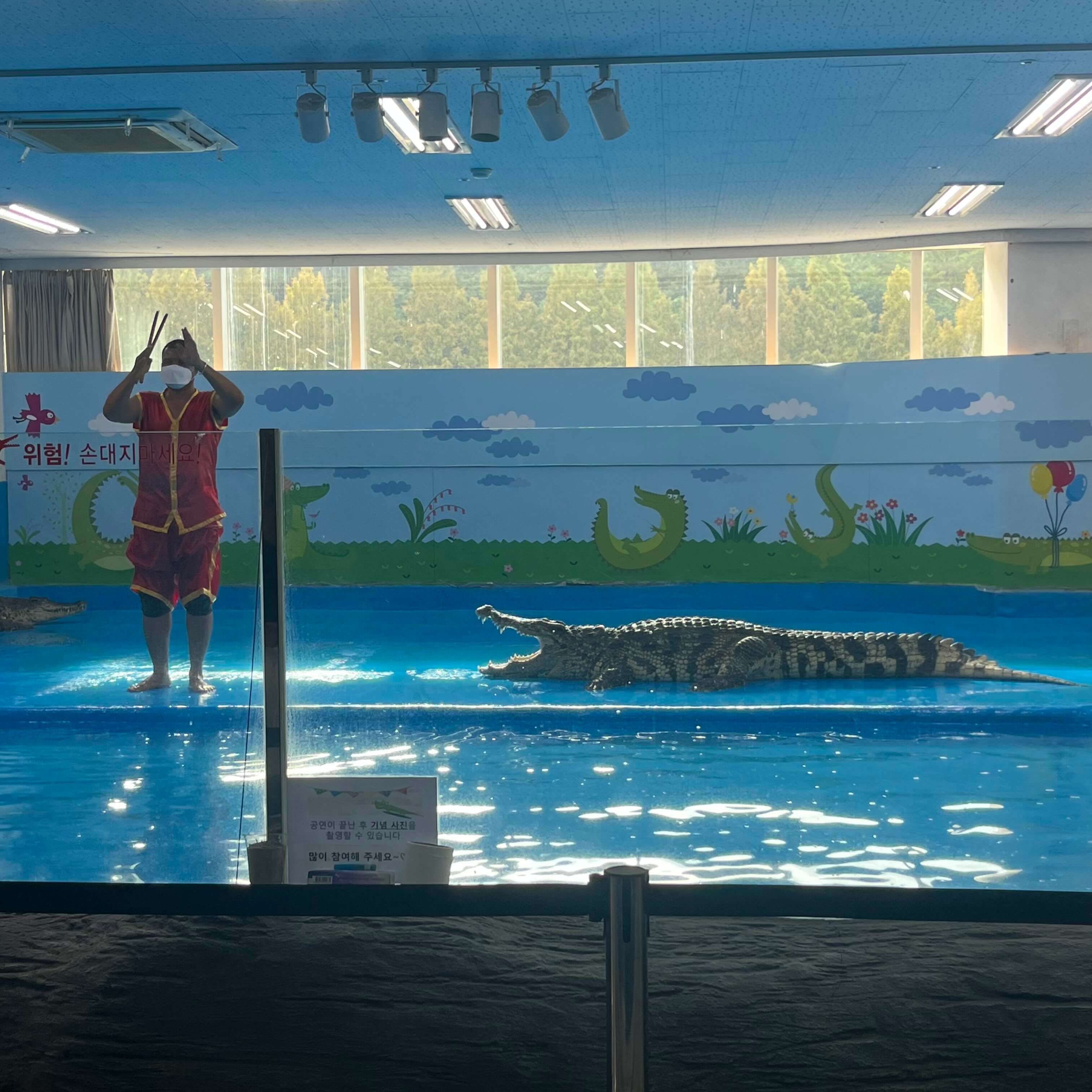 악어 조련사와 악어 사진