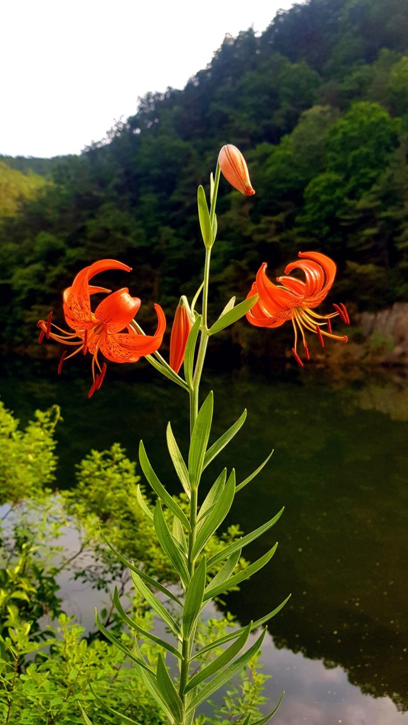경북 군위 아미산 14